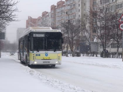 В Семчино из-за отмены льгот на маршруте №46 предложили пустить школьный автобус