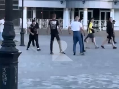 В полиции прокомментировали драку у фонтана на Московском шоссе