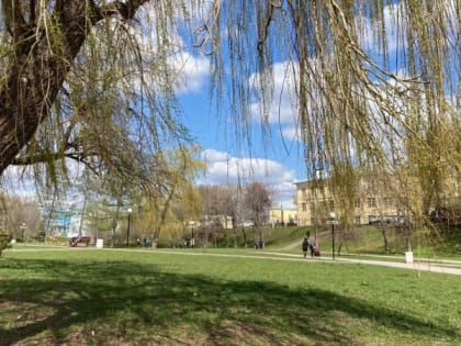 В Рязанской области 13 мая потеплеет до +24 градусов