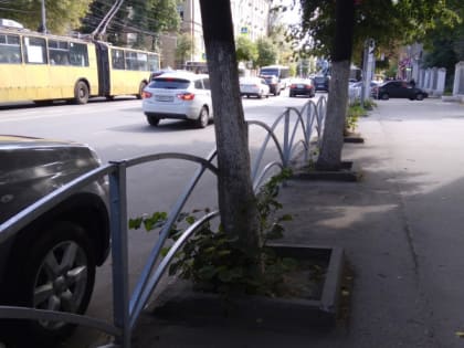 На улице Павлова в Рязани за 3,7 миллиона рублей благоустроят сквер