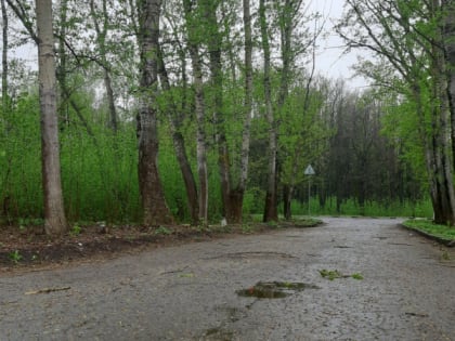 18 июля в Рязанской области ожидаются дожди и до +32