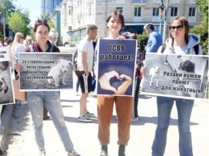 В Рязани примерно 100 жителей собрались на пикет в защиту животных