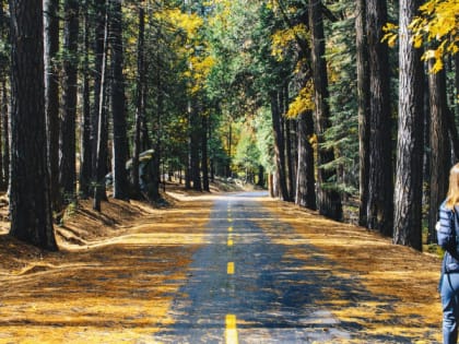 «Страшная жара вернется, но с новым сюрпризом». Синоптики дали не утешающий прогноз