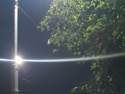 В Рязани эвакуировали Лесопарк