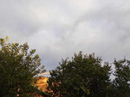 11 июля в Рязанской области ожидается дождь с грозой и до +22