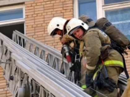 За неделю на пожарах в Рязанской области пострадали два человека