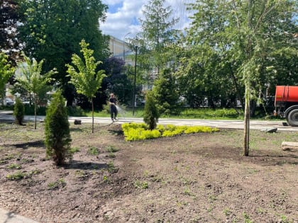 Высадка цветов и выкашивание травы: в Рязани продолжаются работы по благоустройству