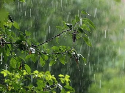 В Рязани ликвидируют последствия непогоды