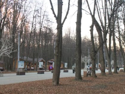 Погода радует рязанцев аномальным теплом, не присущим ноябрю