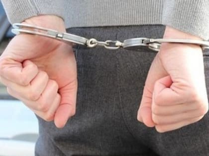 В Рязани Росгвардия задержала мужчину, разбившего битой два окна в доме