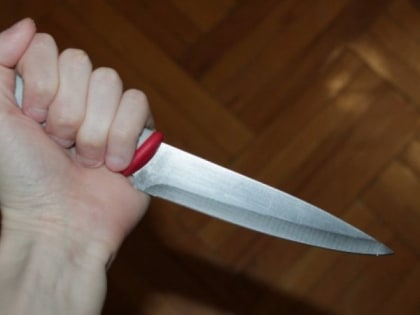 В Старожилове мужчина нанес приятелю более 30 ударов ножом