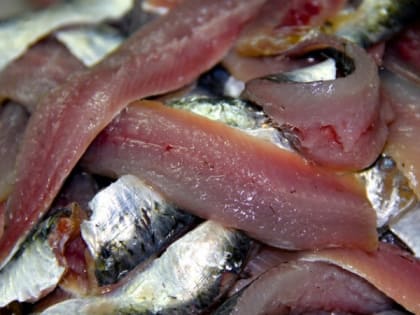 Эта рыба просто кишит паразитами: мы ее подаем на стол и даем детям. В ней нашли 10-метровых червей