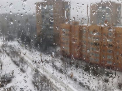 В Рязанской области в марте 2024 года ожидается дефицит осадков