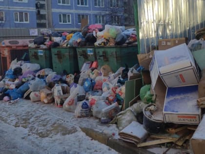 Жители Рязани пожаловались на плохую уборку контейнерных площадок