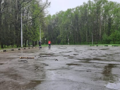 Жителей Рязани просят не посещать скверы и парки 15 мая