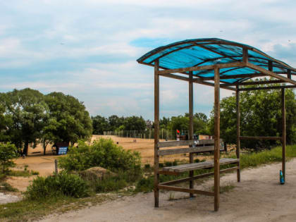 6 июля в Рязанской области ожидается жара до +32