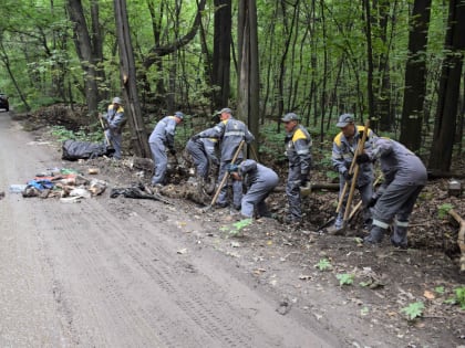 Сотрудники рязанского нефтезавода провели масштабную очистку лесной дороги