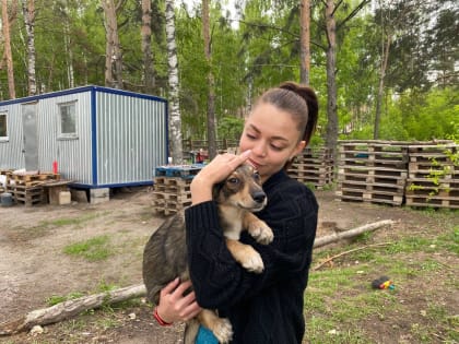 Рязанские молодогвардейцы посетили приют для животных