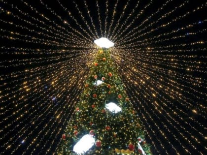 В Рязани подключают гирлянды к новогодним елям