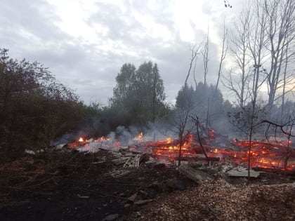 Пять домов сгорело на пожаре в деревне Ужищево в Клепиковском районе