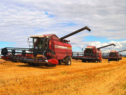 Уборка урожая в Рязанской области: результаты и перспективы