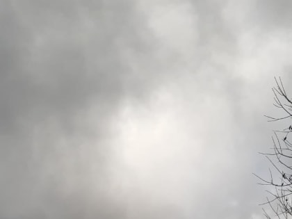 Трудовой десант