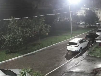 Ночью 30 июля в Дашково-Песочне собаки изгрызли автомобиль