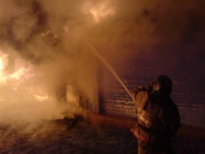 На пожаре в Спасском районе пострадал человек