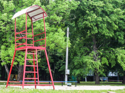 6 августа в Рязанской области ожидается порывистый ветер и жара до +34