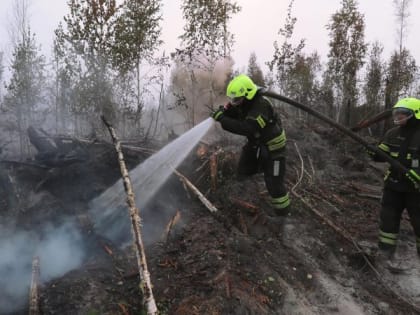 В Рязани ищут волонтёров с опытом для ликвидации пожаров в Касимовском районе