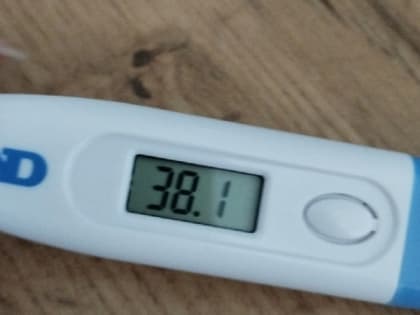 38 рязанцев заболели коронавирусом, больше трех тысяч — ОРВИ