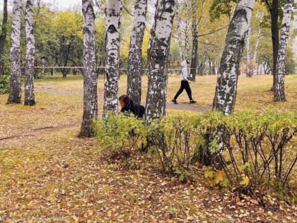 К обработке рязанских парков от шелкопряда присоединились студенты