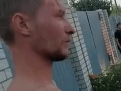 В рязанских Борках пьяный водитель врезался в частный дом