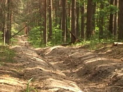 В Рязанской области отменили противопожарный режим