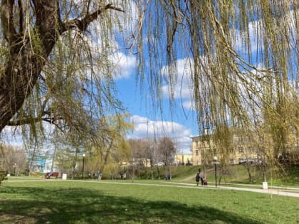 27 апреля в Рязанской области пройдет дождь и потеплеет до +23