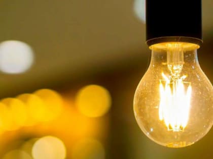 В двух районах Рязани отключили свет из-за крысы