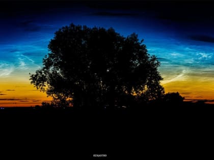 Над Рязанью сфотографировали серебристые облака