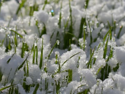 6 мая в Рязанской области ожидается дождь со снегом и до -2