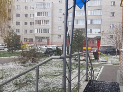 МЧС Рязанской области выпустило предупреждение из-за грозы и ветра