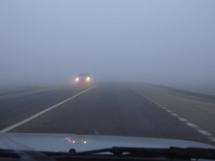 В Рязанской области МЧС выпустило метеопредупреждение о тумане 2 июля