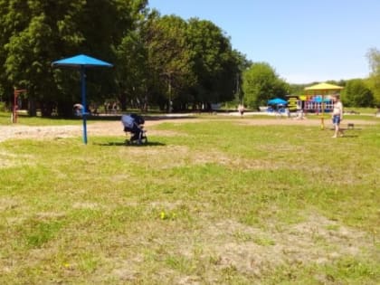 30 мая в Рязанской области ожидается жара до +30