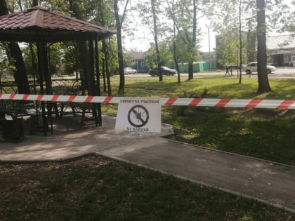В Шацке обработали парки от клещей