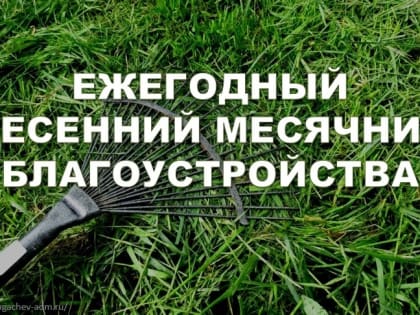 О проведении весеннего месячника по благоустройству и санитарной  очистке территории муниципального образования –  Новомичуринское городское поселение