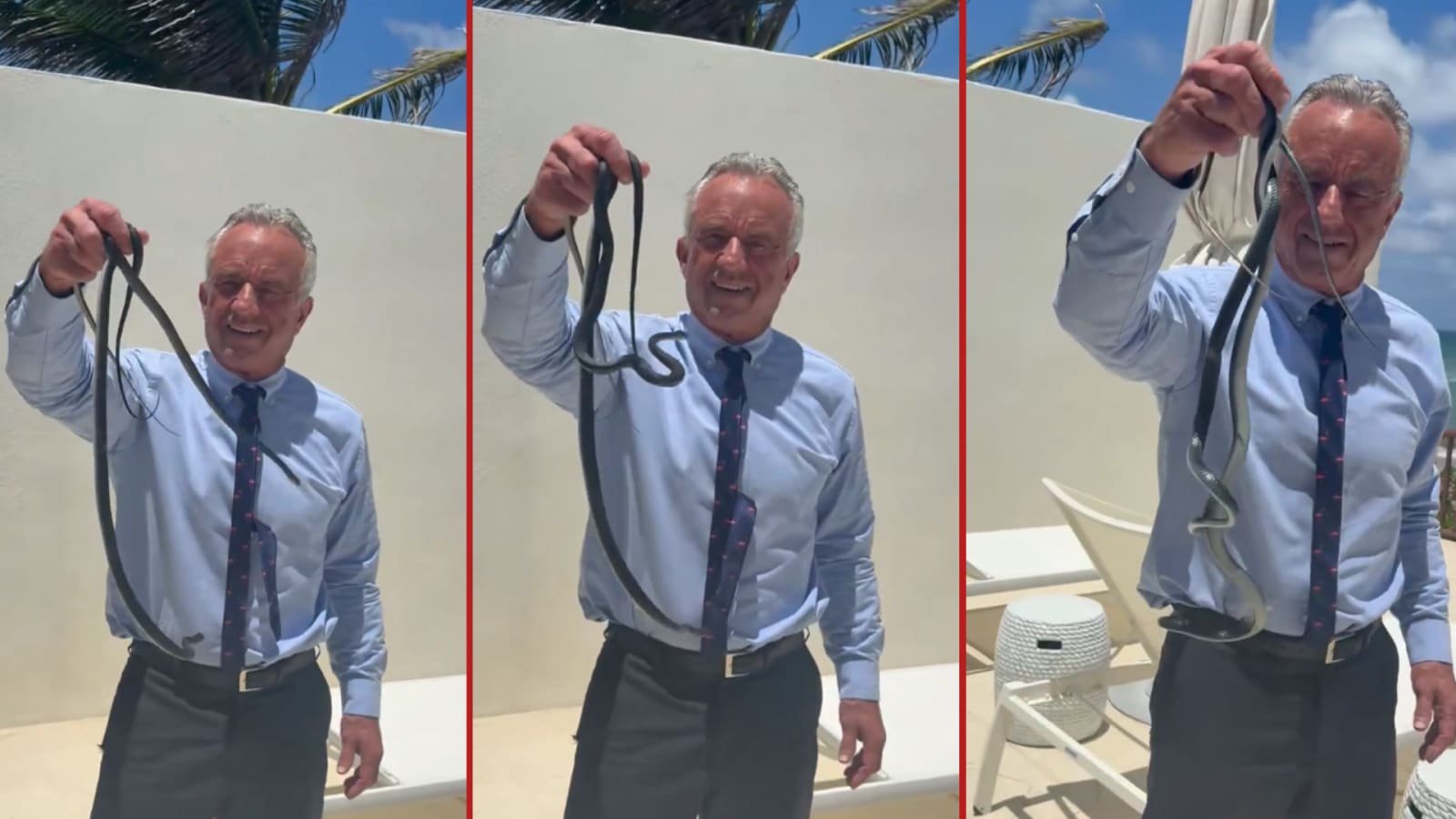 RFK Jr. grabbed two snakes with his bare hands on Dr. Oz’s patio.