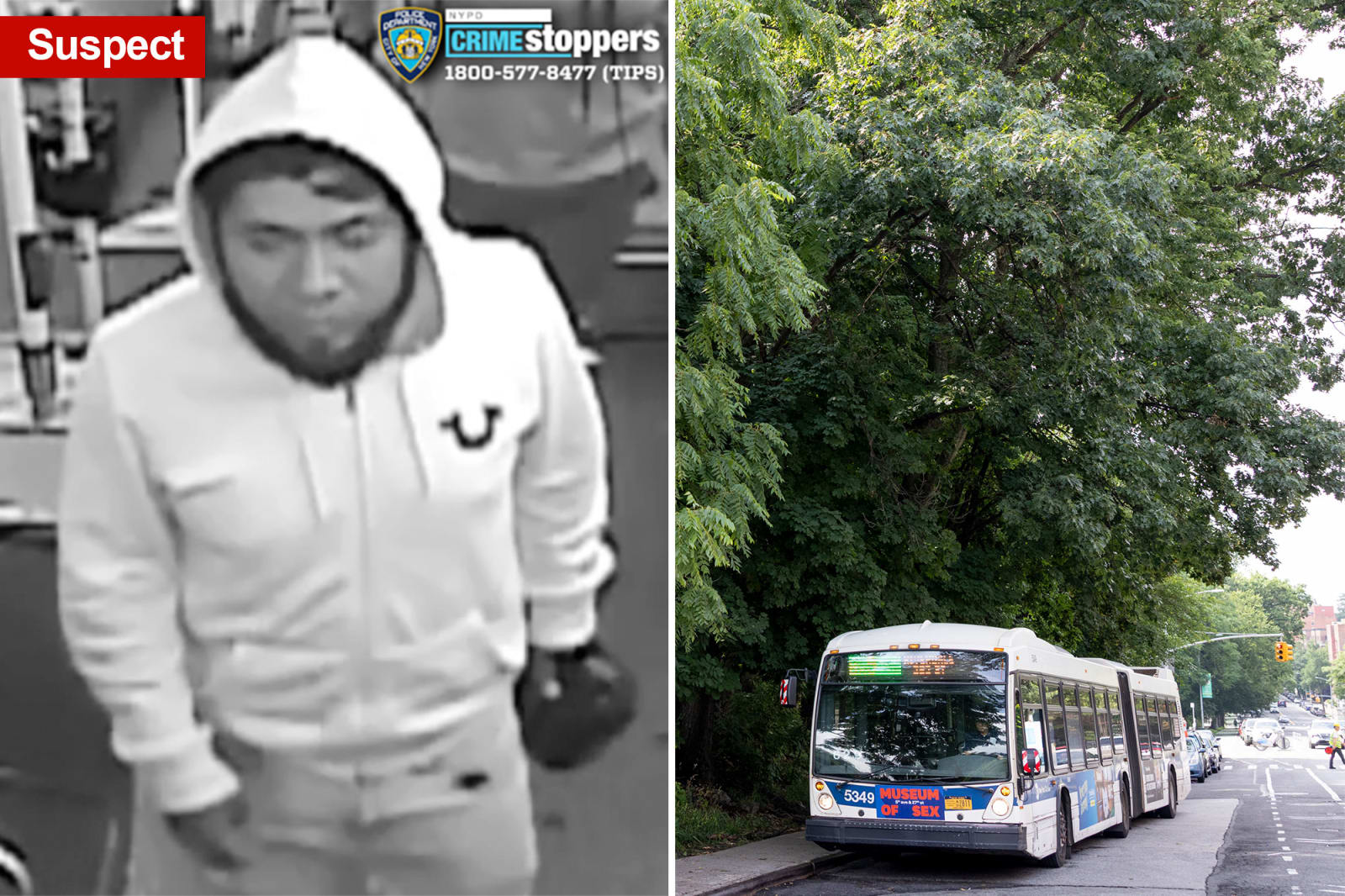 Neighbors say their streets feel like a "jungle" after a 13-year-old girl was attacked.