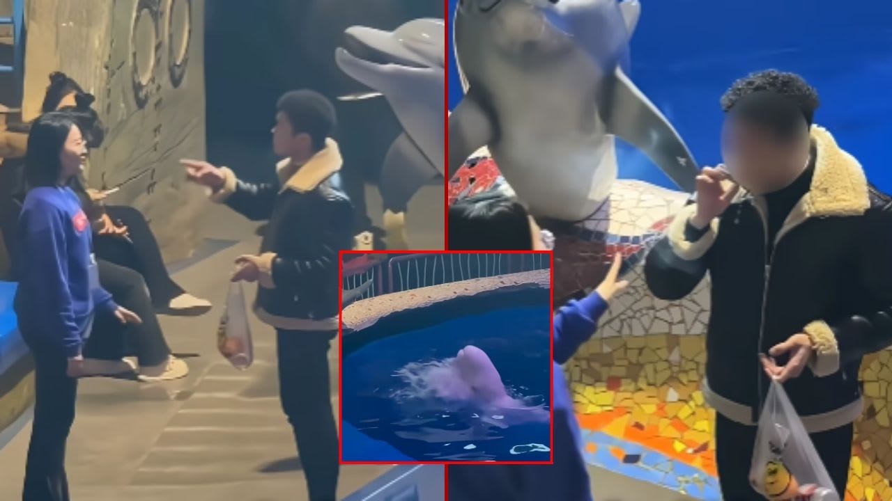 Beluga Stops Man From Smoking in Dalian, China