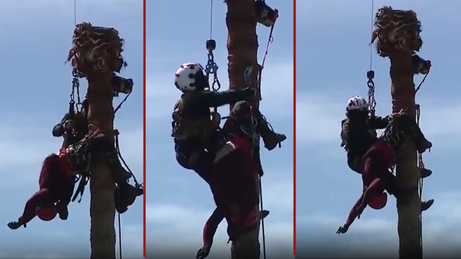 Helicopter Crew Executes Dramatic Rescue of Unconscious Tree Trimmer in San Jose
