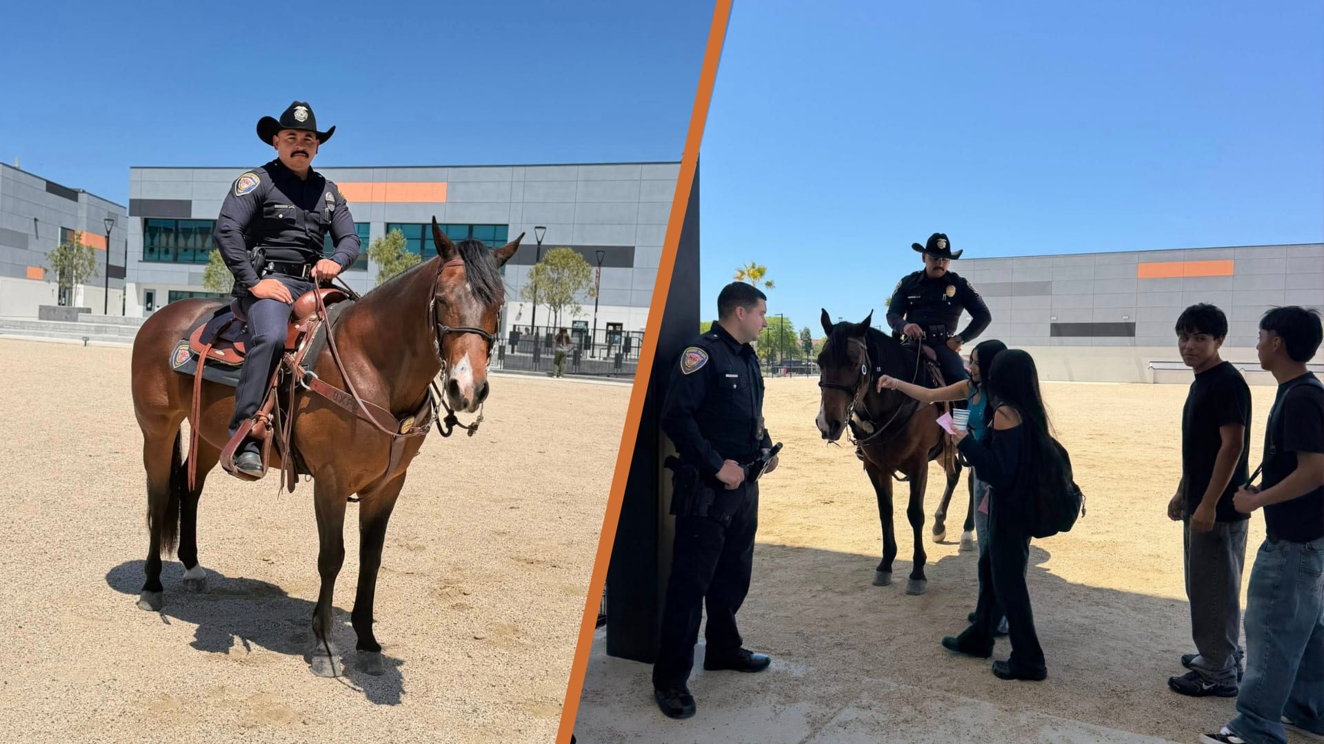Oxnard Police Horse Ace Brings Joy to Del Sol High School Wellness Fair