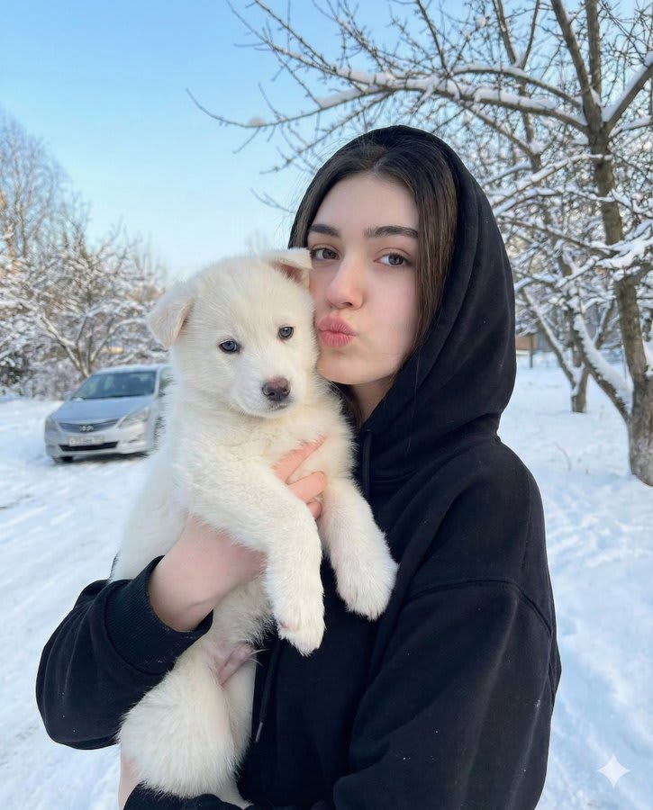 Winter Snow Portrait with Puppy – woman in a sweater in falling snow, AI image made with Nano Banana Pro