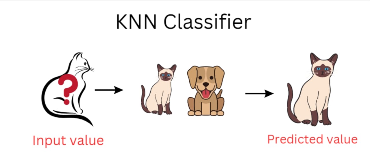 knn image 1.jpeg